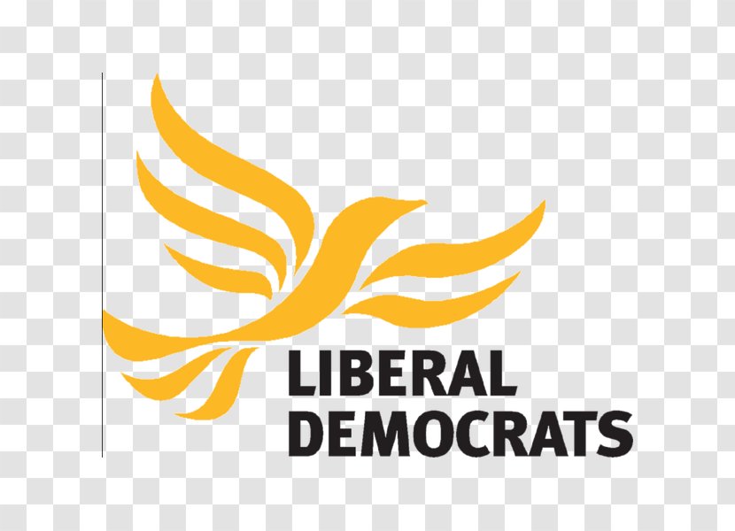 Welsh Liberal Democrats Liberalism Councillor Election - Yellow - Alvin Transparent PNG