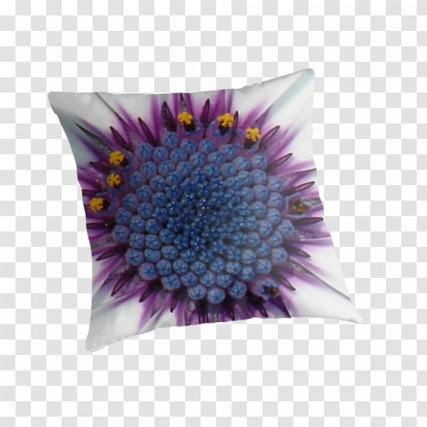 Cushion - Purple - African Daisy Transparent PNG