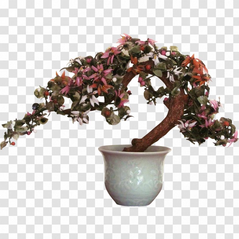 Bonsai Tree Jade Plant Flowerpot Transparent PNG
