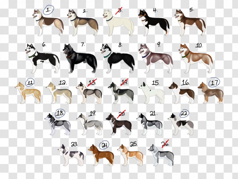 Dog Cattle Wildlife Animal Font - Siberian Husky Transparent PNG