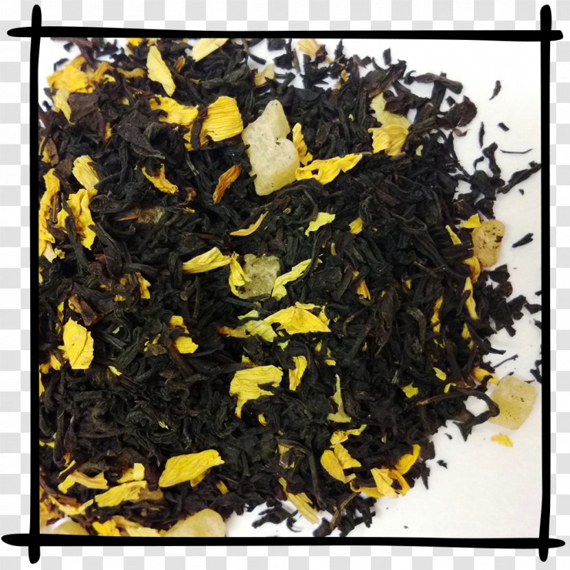 Nilgiri Tea Oolong Spiselige Alger Camellia Sinensis Vegetable - Lapsang Souchong Transparent PNG