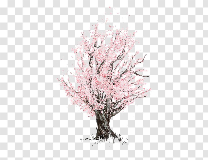 Cherry Blossom Drawing Sketch - Marker Pen - Tree Transparent PNG