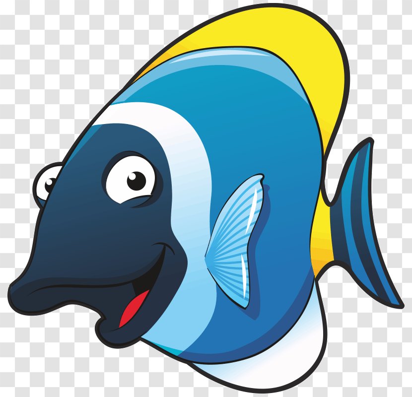 Aquatic Animal Stock Photography - Fish Transparent PNG