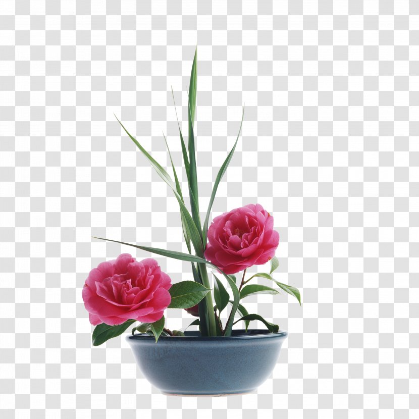 Peony Paeonia Lactiflora Flower Bouquet Clip Art - Vase Transparent PNG