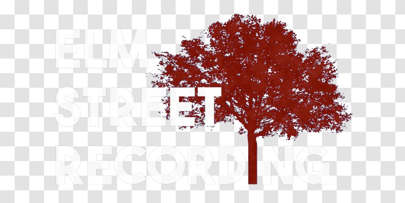 Elm Street Recording Capital City Film Festival East - Studio - 1 Hour Transparent PNG
