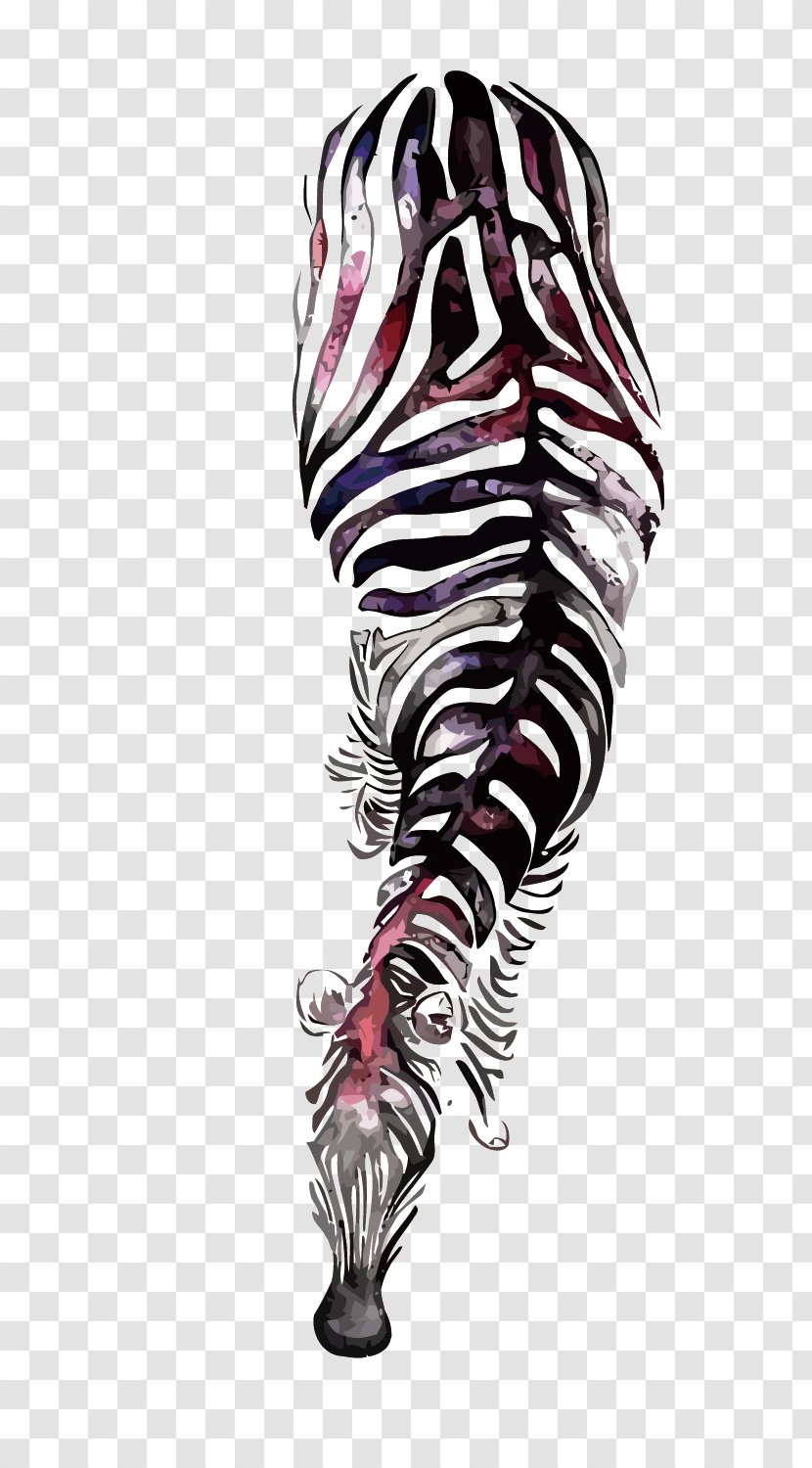 Zebra Watercolor Painting Illustration - Tiger - Vector Transparent PNG