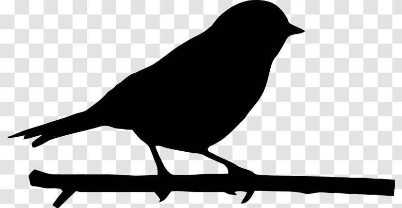 Bird Silhouette - Finch Transparent PNG