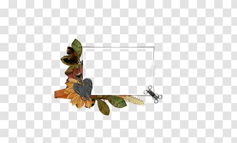 Insect Painting Membrane Transparent PNG