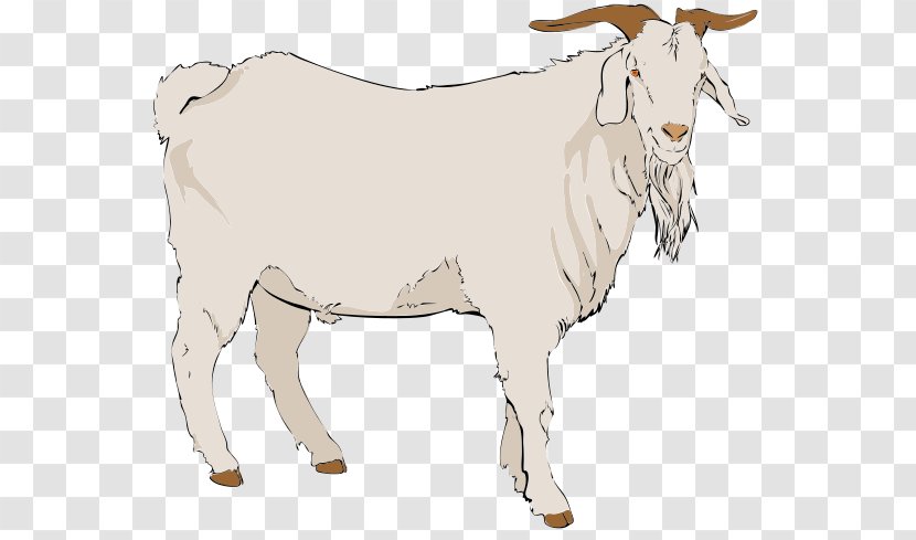 Boer Goat Anglo-Nubian Pygmy Nigerian Dwarf Clip Art - Cattle Like Mammal - Cliparts Baby Transparent PNG