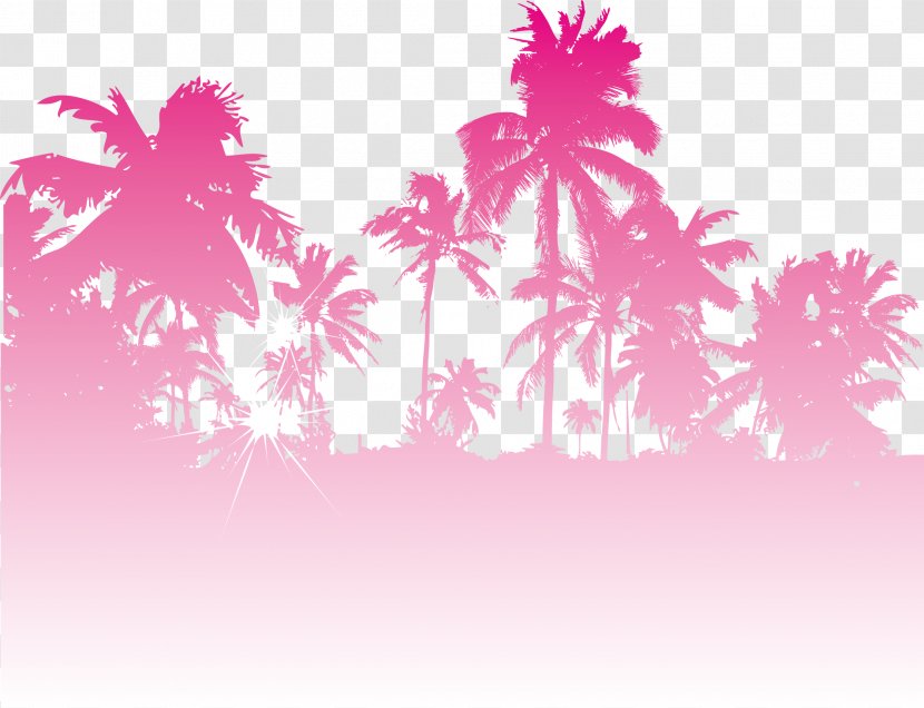 Euclidean Vector Illustration - Drawing - Coconut Trees Transparent PNG