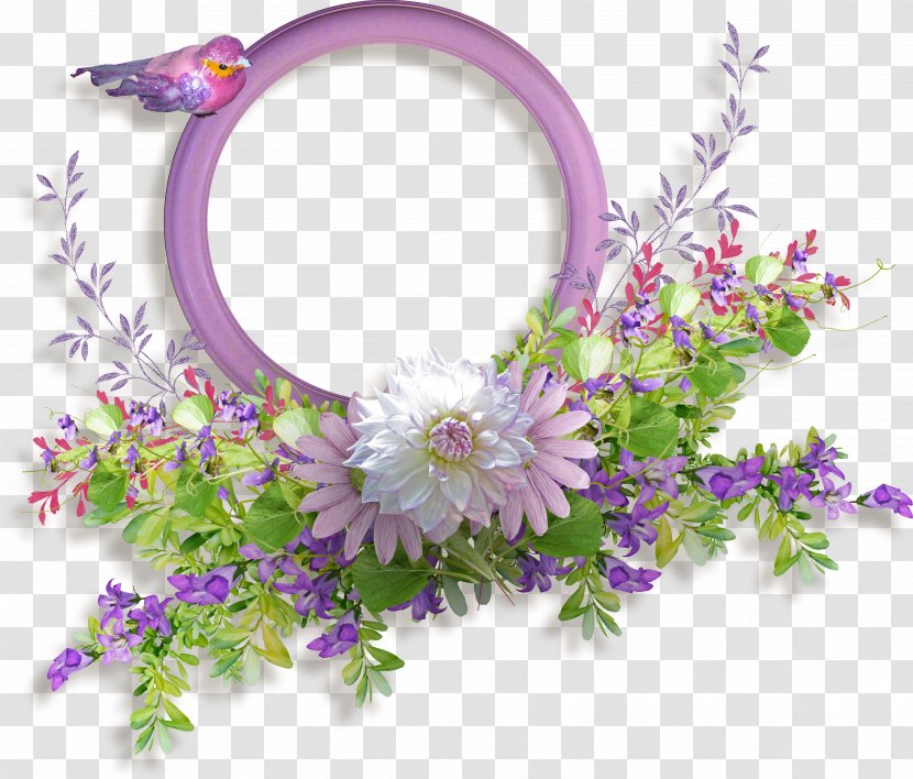 Picture Frame - Flower - Squid Rings Decorated Transparent PNG