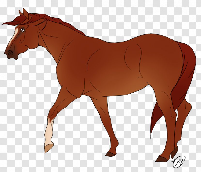 Pony Stallion Foal Mustang Shire Horse - Sorrel Transparent PNG