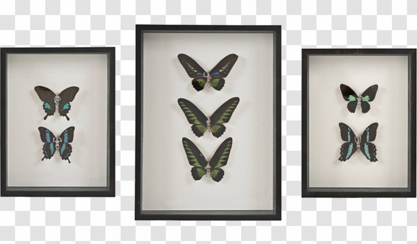 Butterfly Mockup Insect Stencil - Fairy Tale - Material Transparent PNG
