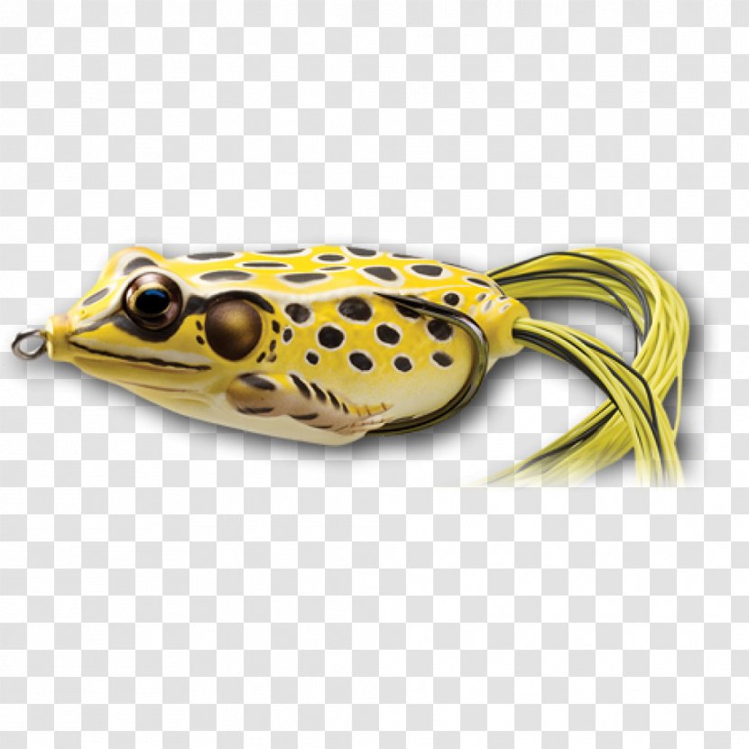 American Bullfrog Spoon Lure True Frog Fishing Transparent PNG