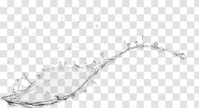 Download High-definition Television Curtain - Branch - HD Water Material Transparent PNG