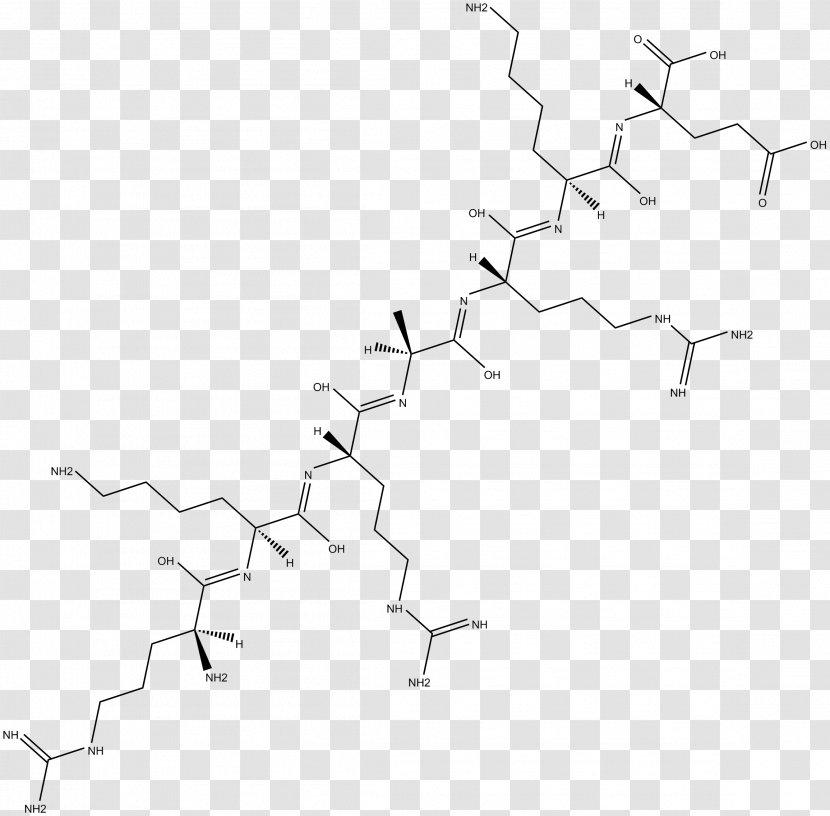 Black & White - M - Angle Point Line ProductClinical Pathway Transparent PNG