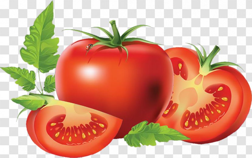 San Marzano Tomato Vegetable Food Lycopene - Local Transparent PNG