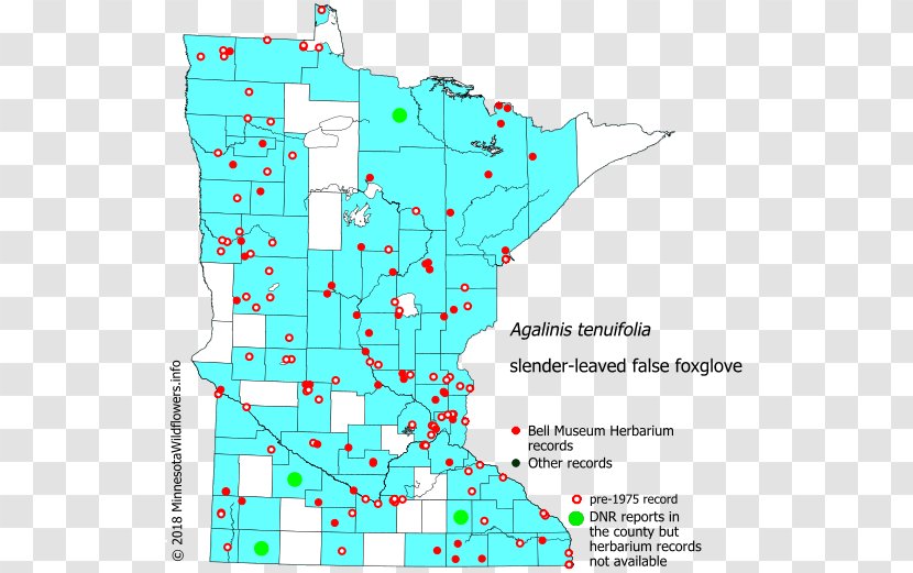 Land Lot Map Line Point Real Property Transparent PNG