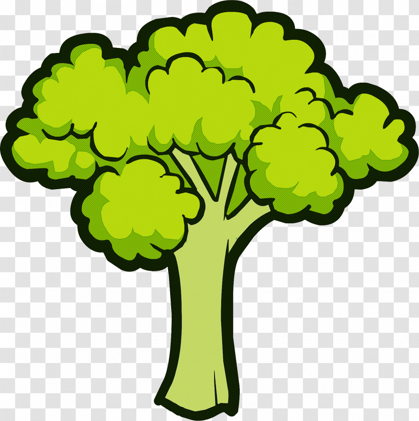 Green Plant Leaf Vegetable Tree Broccoli Transparent PNG