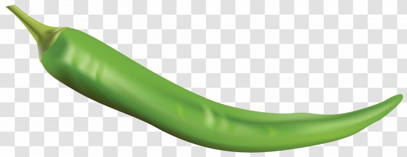 Serrano Pepper Chili Pasilla Capsicum Cayenne - Produce - Green Free Clip Art Image Transparent PNG