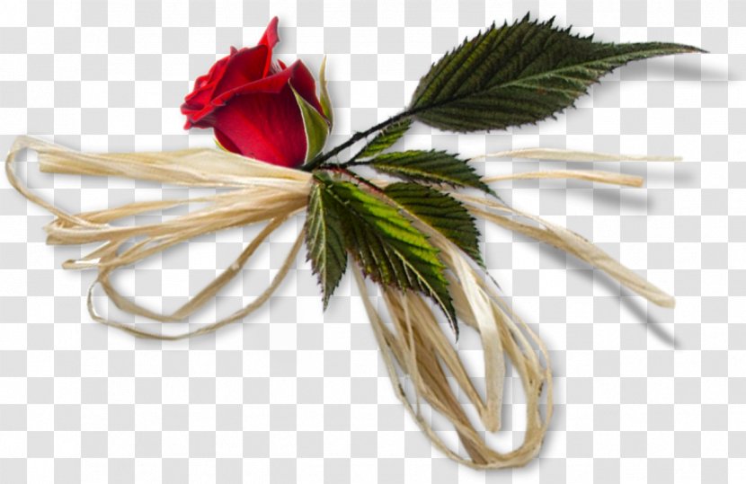 Cut Flowers Pin Clothing Accessories .de - Eu - Flower Bouquet Transparent PNG