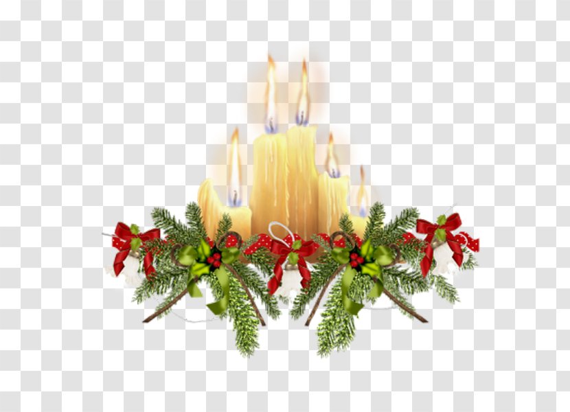 Christmas And New Year Background - Anthurium - Fir Transparent PNG