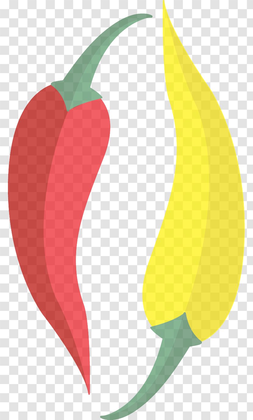 Bell Peppers And Chili Pepper Plant Paprika Tabasco - Vegetable Capsicum Transparent PNG