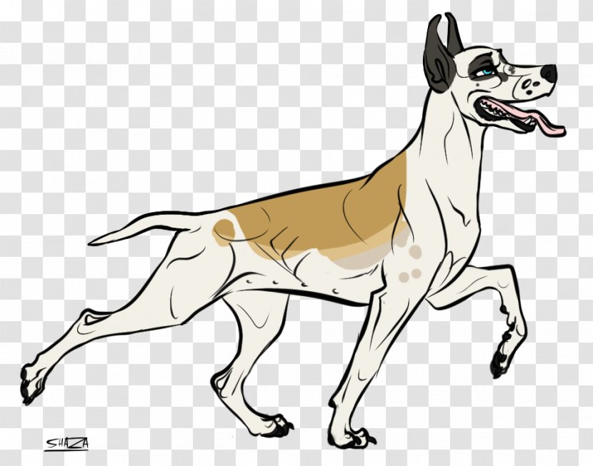 Fox Drawing - Carolina Dog Guard Transparent PNG