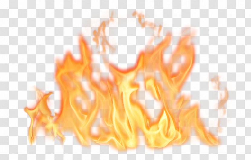 Image Fire Stock.xchng Flame - Photography Transparent PNG