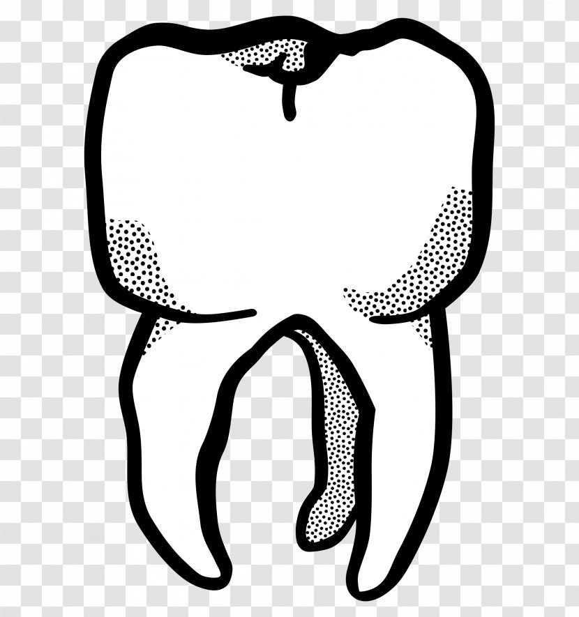 Tooth Line Art Dentistry Drawing - Heart - Tree Transparent PNG