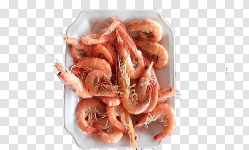Caridea Recipe Dish Shrimp - Nansha Island Cuisine Transparent PNG