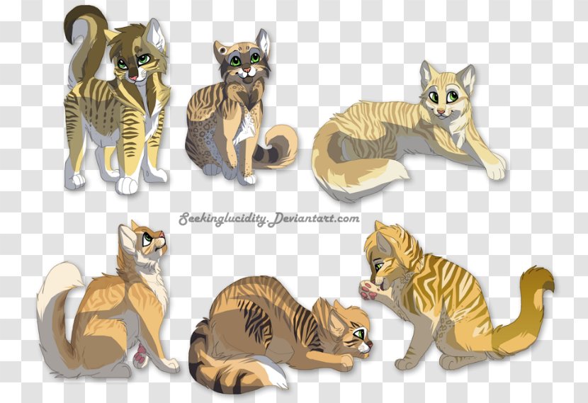 Kitten Maine Coon Tiger Litter DeviantArt - Lion Dance Transparent PNG