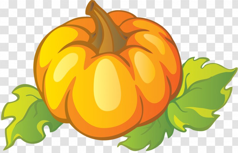 Jack-o'-lantern Pumpkin Calabaza Gourd Clip Art - Harvest Transparent PNG
