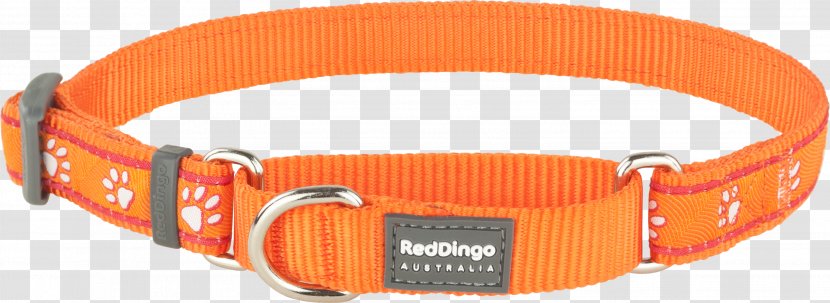 Dog Collar Dingo Martingale - Pet Transparent PNG