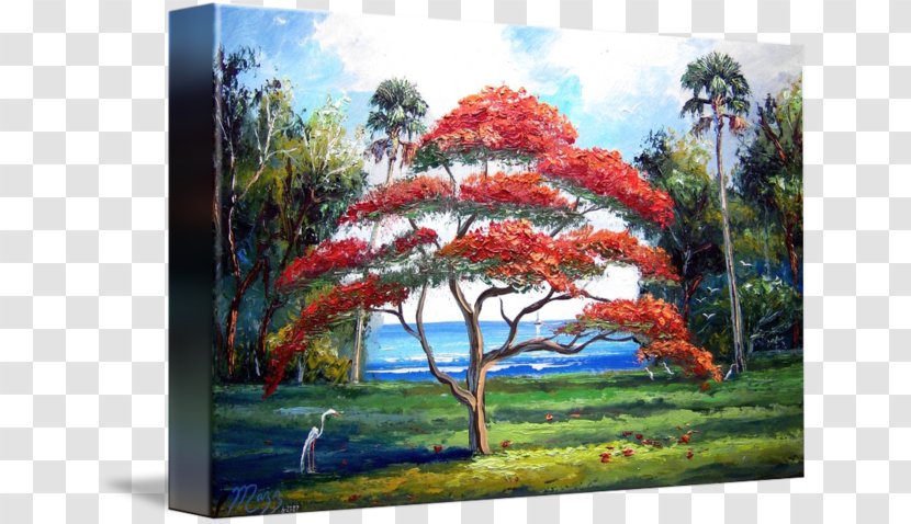 Painting Tree Acrylic Paint Art Imagekind - Plant - Royal Poinciana Transparent PNG
