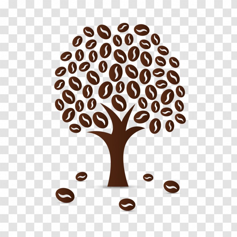 Coffee Bean Cafe Coffea - Gayo - Tree Transparent PNG