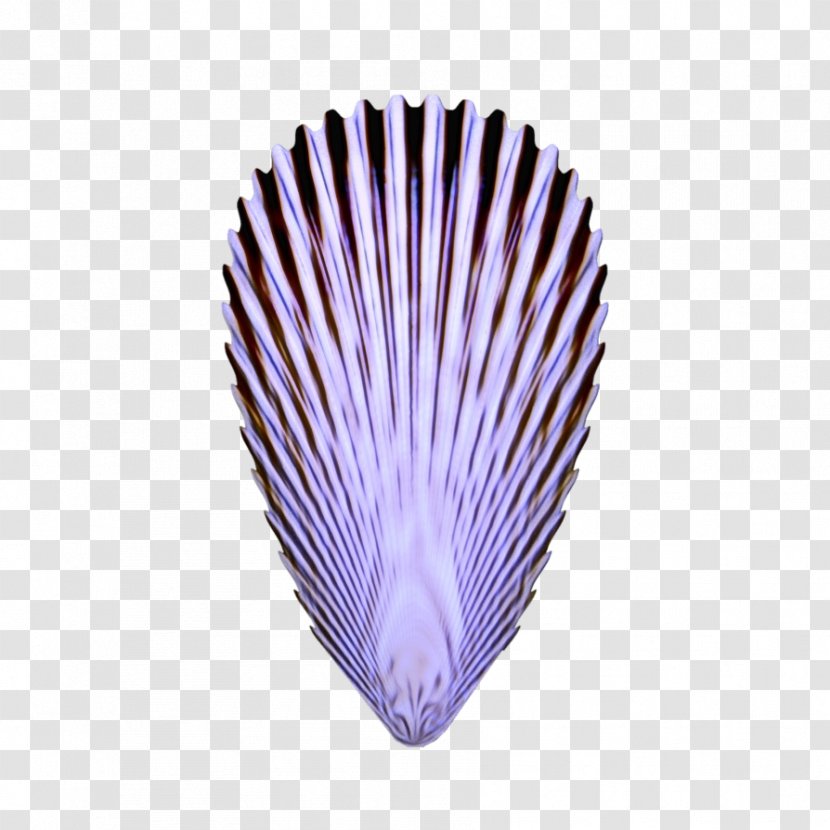 Feather - Paint - Violet Transparent PNG