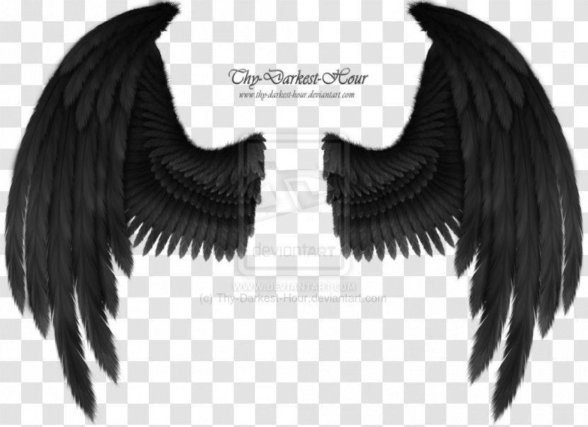 Angel Photography Drawing - Wing - Ali Transparent PNG