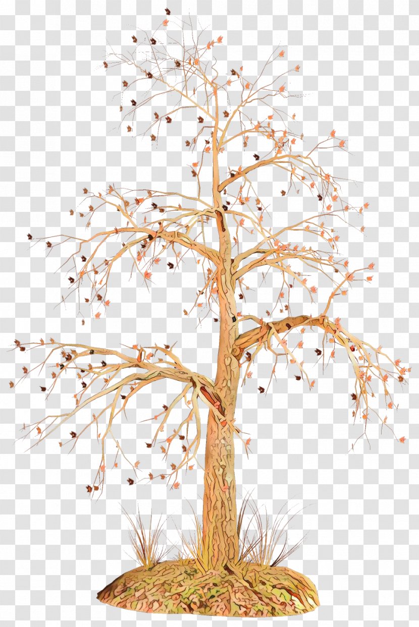 Tree Plant Branch Woody Twig - Stem Flower Transparent PNG