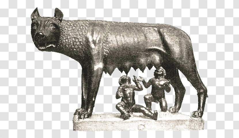 Capitoline Wolf Gray Museums Origo Gentis Romanae Romulus And Remus - Statue - Ancient Beast Transparent PNG