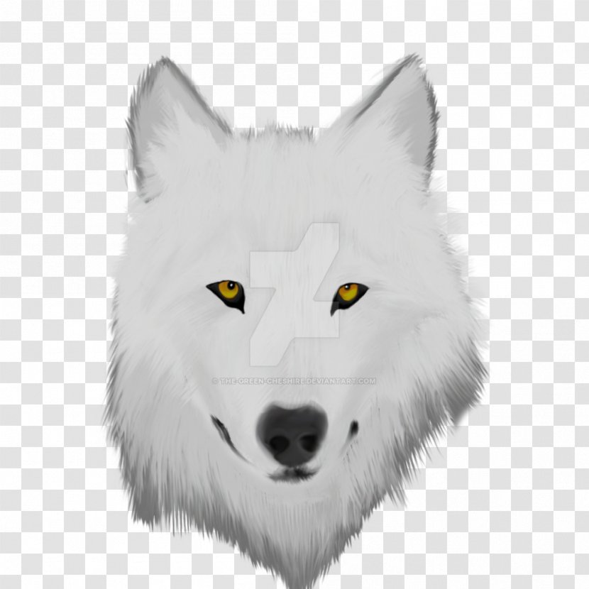 Arctic Wolf Coyote Photography Transparent PNG