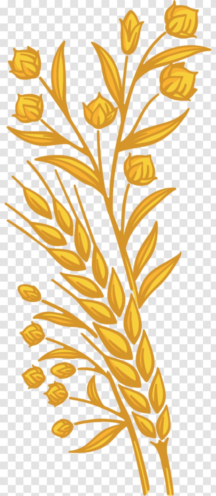 Whole Grain Bread Bagel Gluten Clip Art - Plant Transparent PNG