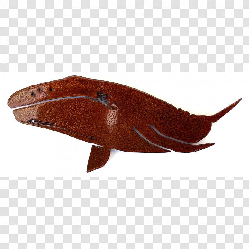 Fish - Organism Transparent PNG