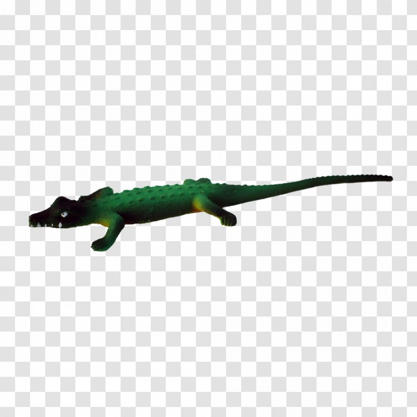 Velociraptor Fauna Crocodiles Animal - Backscratcher Transparent PNG