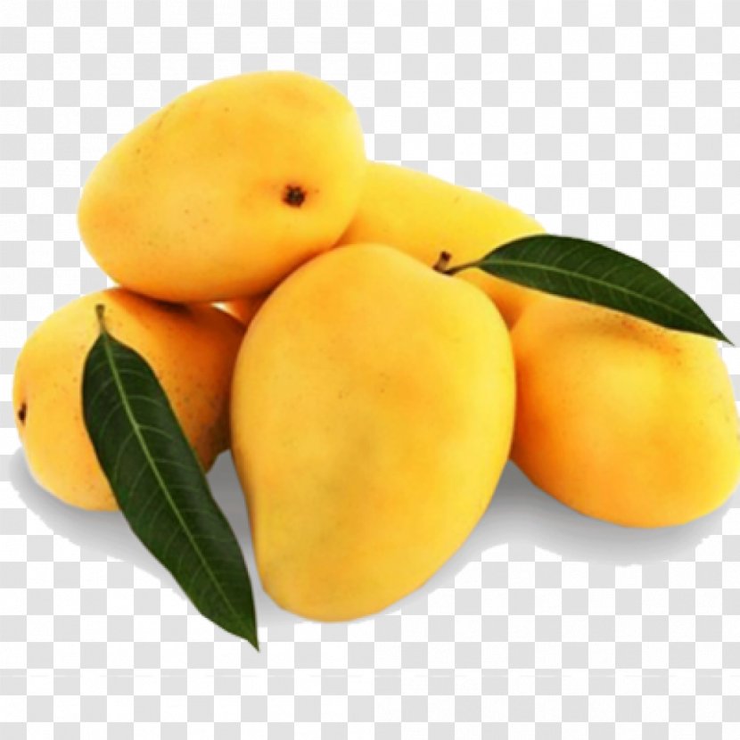 Mangifera Indica Mango Juice Alphonso Benishan - Yellow - Mangga Mangue Transparent PNG