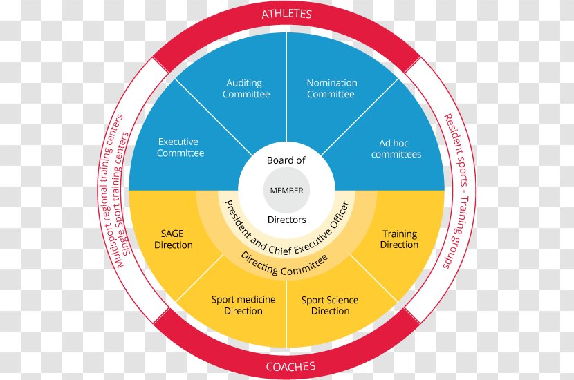 Organization Sports Association Governance National Olympic Committee - Diagram - Verizon Board Of Directors Chart Transparent PNG