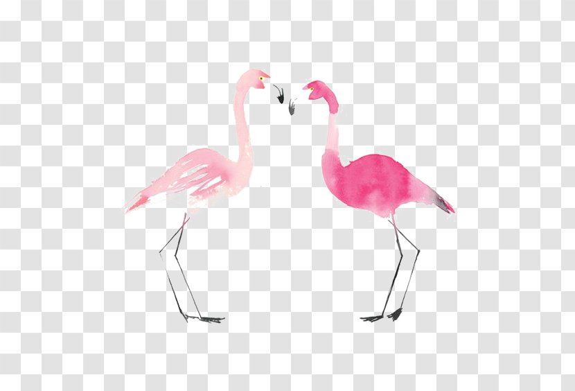 Flamingo Bird Drawing Painting - Animal - Flamingos Transparent PNG