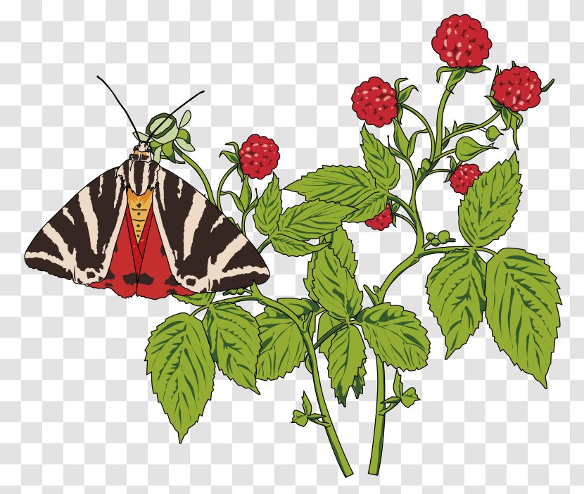 Butterfly Papillon Dog Insect Clip Art - Bouquet Of Flowers Transparent PNG