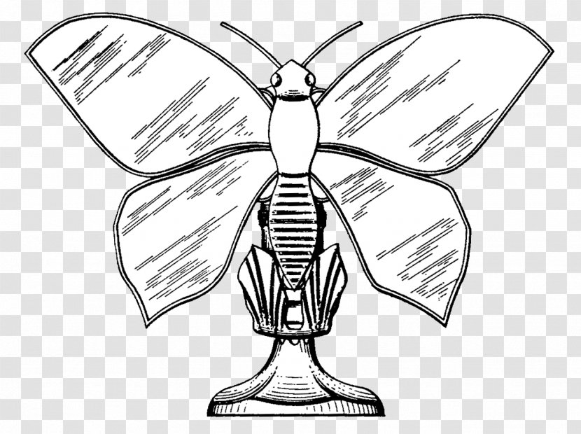 Insect Drawing /m/02csf Line Art Clip - Butterfly Transparent PNG