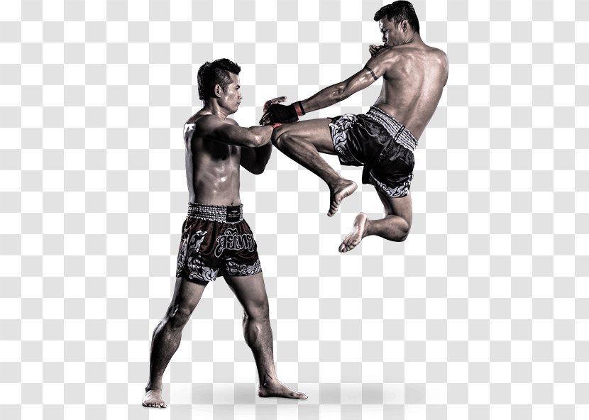 Muay Thai Boran Martial Arts Boxing Sport - Tree - Jiu Jitsu Transparent PNG